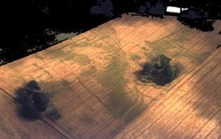 Cropmarks of a Romano-British settlement at East Park, Sedgefield, County Durham. Photo courtesy of and copyright to Blaise Vyner