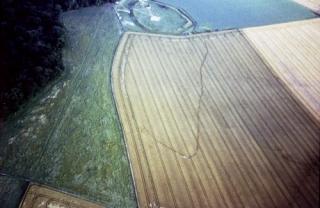 Parchmarks at Alfred's Castle, Oxfordshire, showing a linear ditch. Copyright Gary Lock