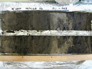 Segment of a core. The bottom of the core is on the right showing organic material with a band of sand above and another organic layer containing twigs and branches. Photo courtesy of Jacqui Huntley, University of Durham.