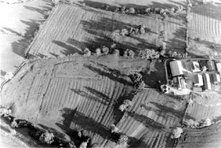 Ridge and furrow surrounding the medieval village at Elstob, County Durham. Photo from Lesley still Collection, courtesy of Tees Archaeology