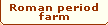 ROMAN PERIOD FARM