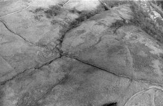 Areal view of Forcegarth Pastures