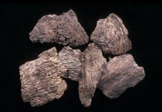 Forcegarth Pastures: archive photograph of the birch bark used in roofing