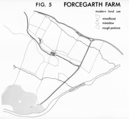 Plan of modern land use  at Forcegarth