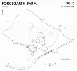 Plan of archaeological features at Forcegarth