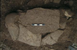 Cist 1 cover stones at Low Hauxley