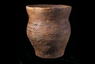 Beaker from cist 1 at Low Hauxley