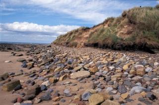 Low Hauxley Before Excavation