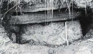 The cist as it was first exposed in the sand dunes