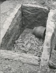 the cist is opened to reveal a human cremation and a well preserved beaker