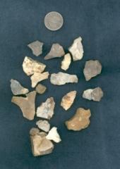 Mesolithic Flint Tools
