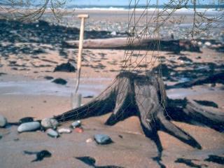 Starting point for climate reconstruction