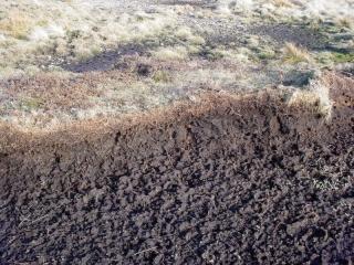 Fuel peat