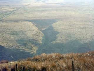 Fraser's Hushes today