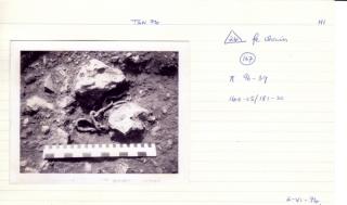 Thrislington: iron chain small finds card