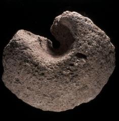 Thrislington: quern stone fragment
